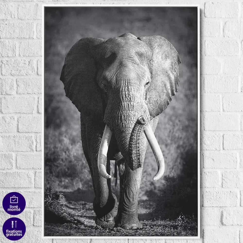 Tableau Éléphant Noir et Blanc Le Grand Male - Montableaudeco