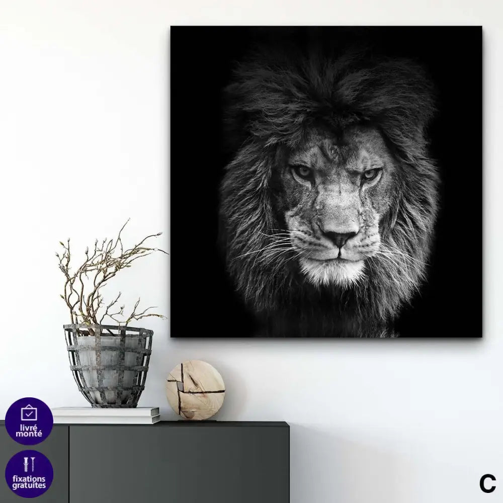 Tableau Lion Noir et Blanc Ensemble 3 Pièces - Montableaudeco