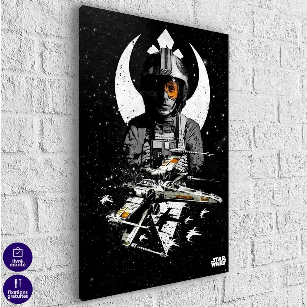 Tableau Star Wars Noir et Blanc Luke Skywalker - Montableaudeco