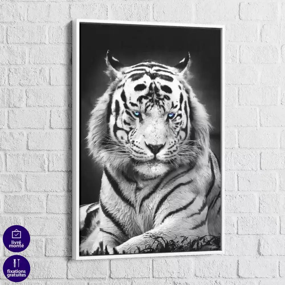 Tableau Tigre Blanc Yeux Bleus - Montableaudeco