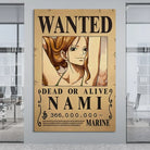 Poster One piece Dead or Alive Nami