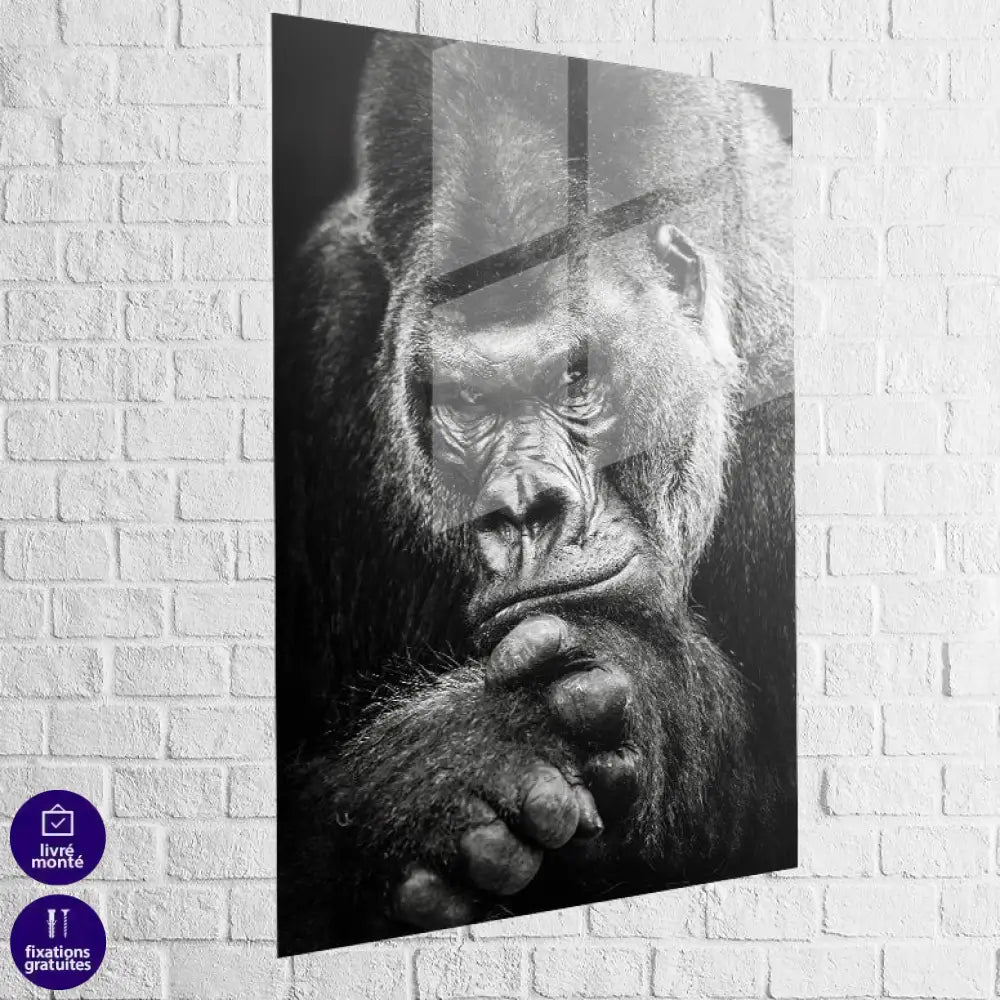 Tableau Gorille Le Magnifique Plexi
