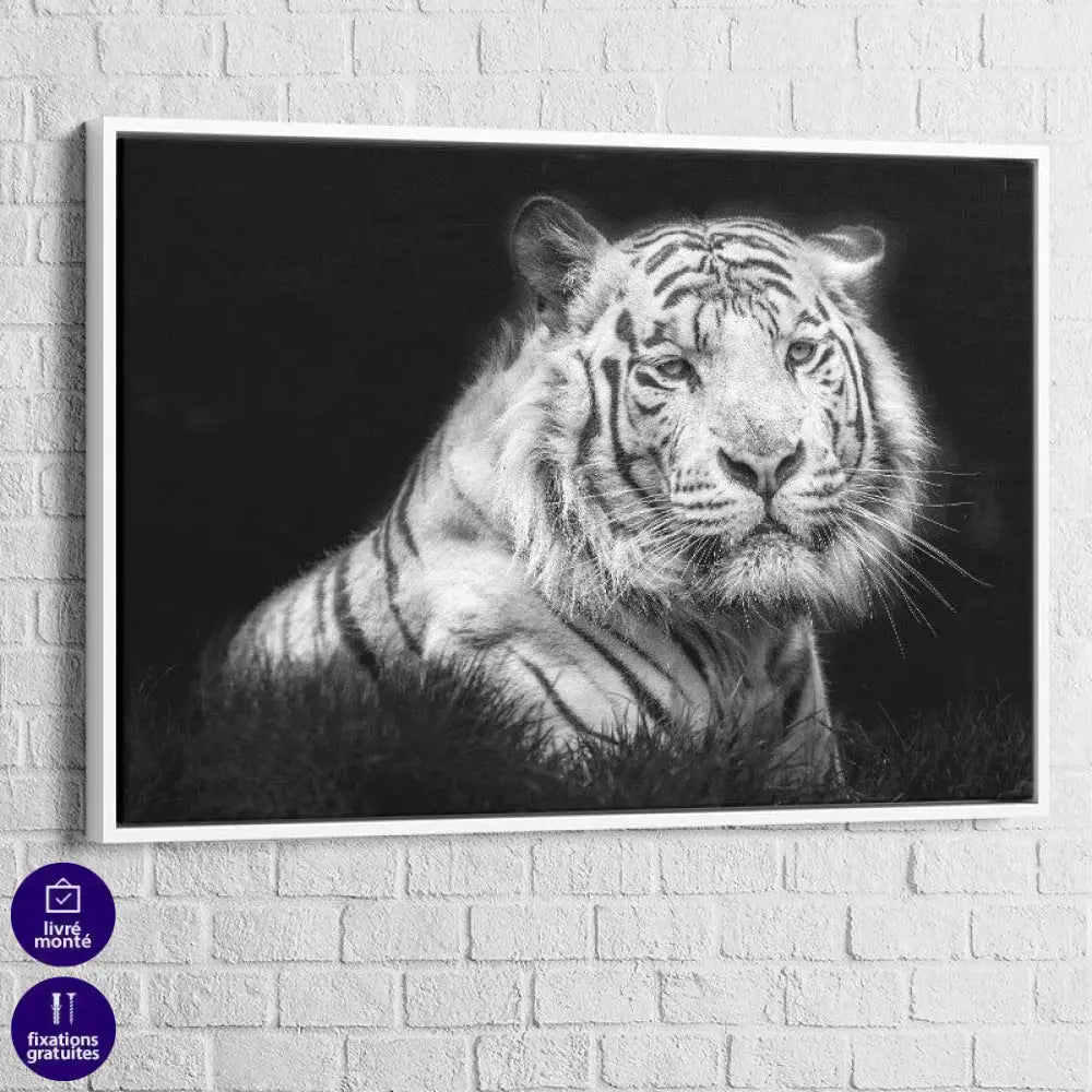 Tableau Tigre noir et blanc - Montableaudeco