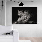 Tableau Lion et Lionne Noir et Blanc - Montableaudeco