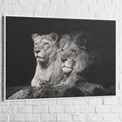 Tableau Lion et Lionne Noir et Blanc - Montableaudeco